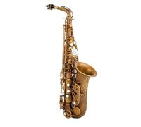 Beginner saxophone Alto Saxophone Eb Bronze Color Alto Saxophone Professional Playing Woodwind Instrument With Accessories(B)