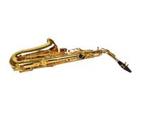 Beginner saxophone Alto Saxophone Eb Tune Brass Lacquer Gold Musical Instrument With Accessories Easy To Play For Adult Professionals(C)