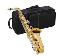 Beginner saxophone Alto Saxophone Golden Brass Lacquered Professional Beginner Adult Practice Performance Instrument