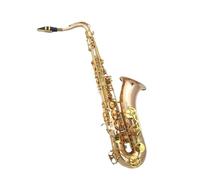 Beginner saxophone Alto Saxophone Instrument Phosphor Bronze B Flat Adult Beginner Professional Saxophone