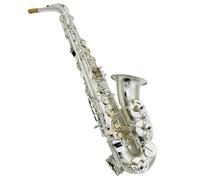 Beginner saxophone Alto Saxophone Woodwind Instrument E-flat Beginner Grade Test Adult Performance Grade Instrument