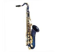 Beginner saxophone Bb Tenor Saxophone Blue Gold Key Brass Tube Body Tenor Saxophone Woodwind Musical Instrument Beginner Set(A)