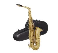 Beginner saxophone Beginner Performance Type Eb Alto Saxophone Brass Body E Flat Set With Case Accessory Professional Woodwind Instruments