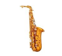 Beginner saxophone Beginners Eb Alto Saxophone Keys Brass Body Alto Sax Set Case Professional Saxophone Accessory Woodwind Instruments(B)