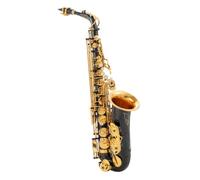 Beginner saxophone Black Lacquer Bright E Flat Alto Saxophone Professional Carving Complete Accessories Saxophone Instrument