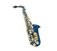 Beginner saxophone Brass Engraved Eb E-flat Alto Saxophone Sax Wind Instrument With Case Gloves Cloth Belt Brush
