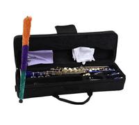 Beginner saxophone Brass Straight Soprano Sax Saxophone Bb B Flat Woodwind Instrument For Beginner Professional