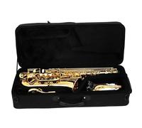 Beginner saxophone C Key Alto Saxophone Brass Body Carved Sax Professional Woodwind Instruments With Case Neck Strap Parts & Accessories