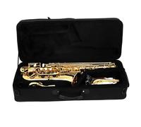 Beginner saxophone C Key Alto Saxophone Brass Body Carved Saxofone Woodwind Instruments Case Reeds Neck Strap Accessories