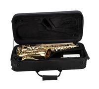 Beginner saxophone E Flat Alto Saxophone Golden Brass Lacquered Professional Beginner Adult Practice Performance Instrument