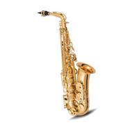 Beginner saxophone E Flat Alto Saxophone Wind Instrument Grading Test Performance Adult Beginner Professional Saxophone