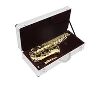 Beginner saxophone Eb Alto Saxophone Brass Body Saxophone Set Professional Woodwind Instruments With Case Reed Sax Accessories