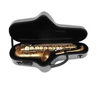 Beginner saxophone Eb Alto Saxophone Brass Frosted Gold E Flat Alto Sax Woodwind Instrument Saxfon With Case Reeds Stand Accessories(B2)