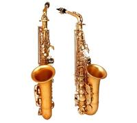 Beginner saxophone Eb Alto Saxophone Brass Frosted Gold E Flat Alto Woodwind Instrument Saxfon With Case Reeds Accessories