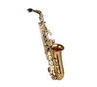 Beginner saxophone Eb Alto Saxophone Brass Lacquered Alto Sax Wind Instrument Professional With Case Accessories