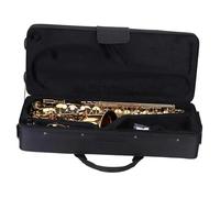 Beginner saxophone Eb Alto Saxophone Brass Lacquered Gold E Flat Sax 802 Key Type Woodwind Instrument With Brush Cloth Gloves Strap
