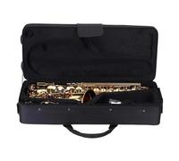 Beginner saxophone Eb Alto Saxophone Brass Lacquered Gold E Flat Sax Type Woodwind Instrument With Musical Instrument Accessories