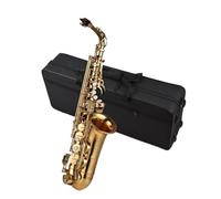 Beginner saxophone Eb Alto Saxophone Brass Paint Type Saxophone Instrument With Full Set Of Accessories Professional Performance