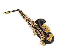 Beginner saxophone Eb Alto Saxophone Matte Black Red Blue Purple Plated Carved Surface E Flat Instrument Sax With Instrument Case(Black)