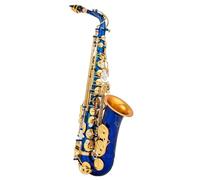 Beginner saxophone Eb Alto Saxophone Matte Black Red Blue Purple Plated Carved Surface E Flat Instrument Sax With Case(Blue)
