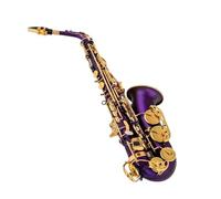 Beginner saxophone Eb Alto Saxophone Matte Black Red Blue Purple Plated Carved Surface E Flat Instrument Sax With Instrument Case(PURPLE)