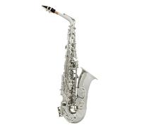 Beginner saxophone Eb Alto Saxophone Silver E Flat Brass Body Carved White Shell Button Sax With Case Strap Gloves Reeds Accessories Set(B)