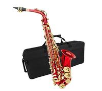 Beginner saxophone Eb E-flat Alto Saxophone Professional Brass Bend Sax Key Carve Pattern With Case Gloves Cloth Brush Sax Accessory