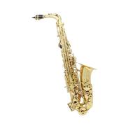 Beginner saxophone Gold Eb Alto Saxophone Performance Practice Brass Instrument Saxophone With Box Cloth Brush Reed Accessories