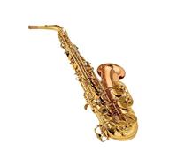 Beginner saxophone Music Lovers Alto Eb Tune Saxophone Brass Musical Instrument Gold Lacquer Sax With Case Musical Instrument Accessories(A)