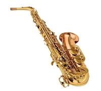 Beginner saxophone Performance Type Alto Eb Tune Saxophone Brass Musical Instrument Gold Lacquer With Case And Instrument Accessories(B)