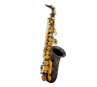 Beginner saxophone Performer Type Alto Saxophone Eb Black Black Nickel Plated Carved Body Professional Woodwind(A)