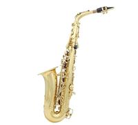 Beginner saxophone Performer Type Alto Saxophone Professional Brass Woodwind Music Instrument Saxophone With Carrying Case Accessories