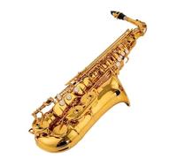 Beginner saxophone Professional Alto Drop E Saxophone Gold Alto Saxophone With Instrument Accessories Performance Type(A)
