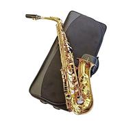Beginner saxophone Professional Alto Drop E Saxophone Gold Alto Saxophone With Special Accessories For The Instrument