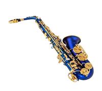 Beginner saxophone Professional Eb Alto Saxophone Matte Black Blue Red Purple Nickel Plated Carved Surface E Flat Instrument With Case(Blue)