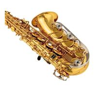 Beginner saxophone Professional Performance Type Alto Drop E Saxophone Gold Alto Saxophone With Instrument Accessories(B)