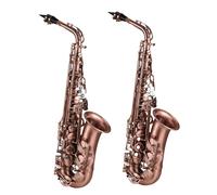Beginner saxophone Professional Red Bronze Bend Eb E-flat Alto Saxophone Sax Carve Pattern With Case Gloves Beginners Performer