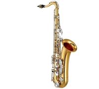 Beginner saxophone Saxophone E Flat Alto Saxophone Adult Beginner Exam Professional Performance Instrument(C)