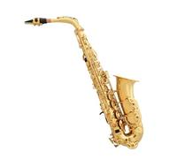Beginner saxophone Saxophone Instrument Beginner Adult E Flat Alto Saxophone Test Performance Level