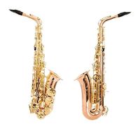 Beginner saxophone Saxophone Phosphor Bronze E-flat Alto Saxophone Double Phosphor Bronze Professional Practice Performance
