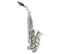 Beginner saxophone Silver Saxophone Brass Bb Soprano Saxophone With Box Cloth Reed Clip Strap Brush Gloves Parts