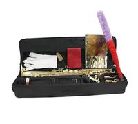 Beginner saxophone Straight Soprano Saxophone Brass B Flat Saxophone Professional Sax Woodwind Instrument With Case Reeds Parts