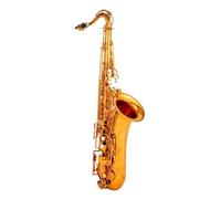 Beginner saxophone Tenor Saxophone Copper B-flat Tenor Bronze Saxophone Instrument With Special Accessories For The Instrument(B)