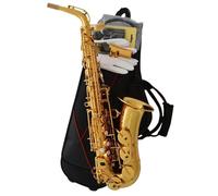 Beginner Saxophones Brass Painted Alto Saxophone With Flight Case