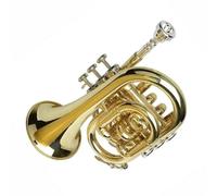 Beginner Trumpet B-flat Pocket Trumpet Professional Instrument Beginner Brass Standard Trumpet Tone