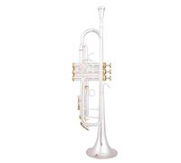 Beginner trumpet Bb Trumpet Silver Plated Trumpet Small Brass Musical Instrument Trompeta Body Material Phosphorus Copper(Color:Golden)