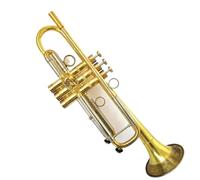 Beginner trumpet Brass from professional trompeta/trumpet Pisiton Material Stainless steel