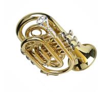 Beginner Trumpet Brass Lacquer B Flat Trumpet Cornet Mini Pocket Trumpet Stainless Steel Professional Trumpet Musical Instrument