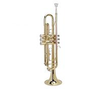 Beginner -Trumpet -Kit, Double Bar Support BB Trumpet Instrument for the Band Performance (Phosphor Bronze)
