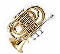 Beginner Trumpet Mini Pocket Trumpet Bb Flat Brass Wind Instrument Gloves Carrying Case Professional Beginner Bb Trumpet